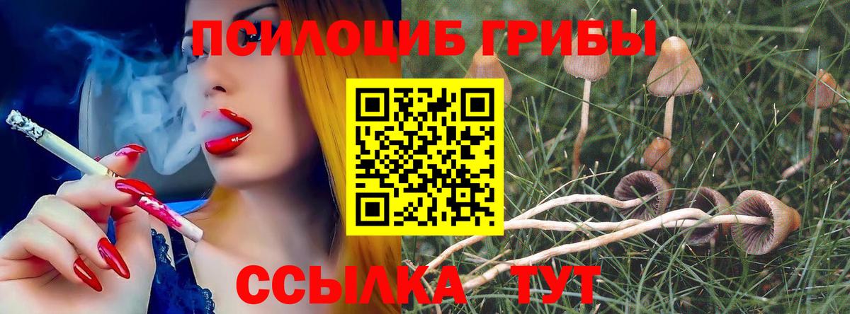 Галлюциногенные грибы ЛСД  Галлюциногенные грибы прущие грибы  Удомля  Вход с VPN 